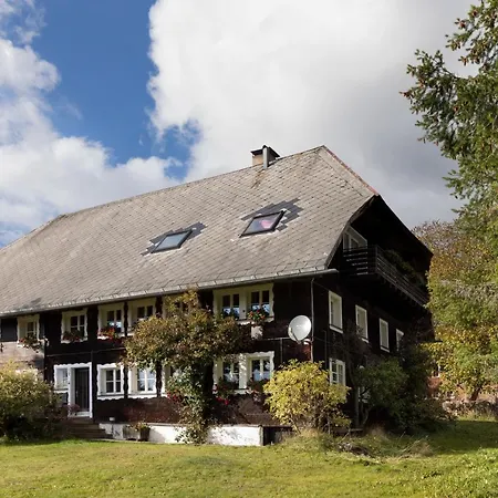Waelder: Quartier Dachsberg Villa Dachsberg im Schwarzwald Buitenkant foto
