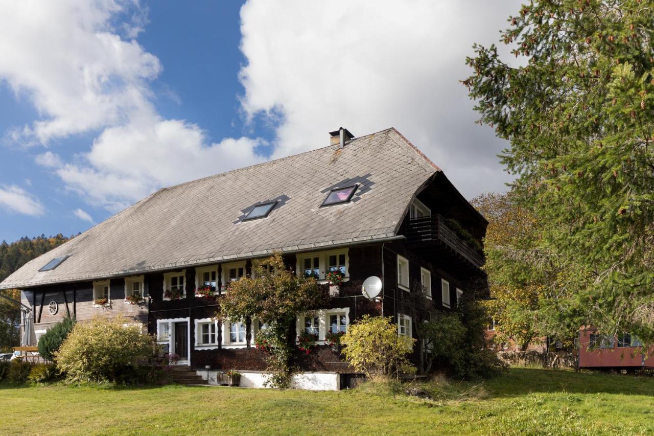 Holiday home Waelder: Quartier Dachsberg Dachsberg im Schwarzwald